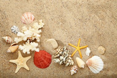 Deniz ve plaj kum üzerinde starfishes