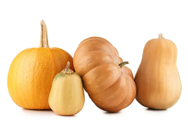 Orange Pumpkins Isolated White Background — Stock Photo, Image