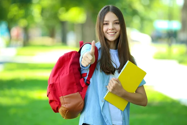 Menina Bonito Com Mochila Notebook Parque — Fotografia de Stock