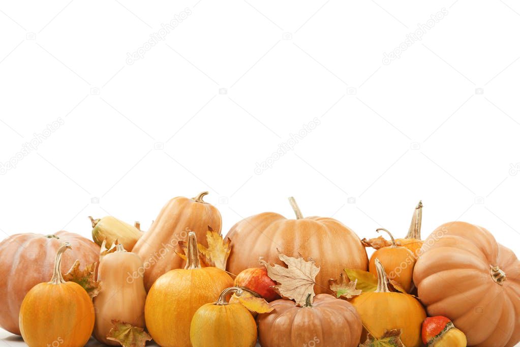Orange pumpkins with dry leafs on a white background