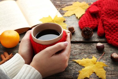 Kahve kitap ve kırmızı eldivenli tutan eller