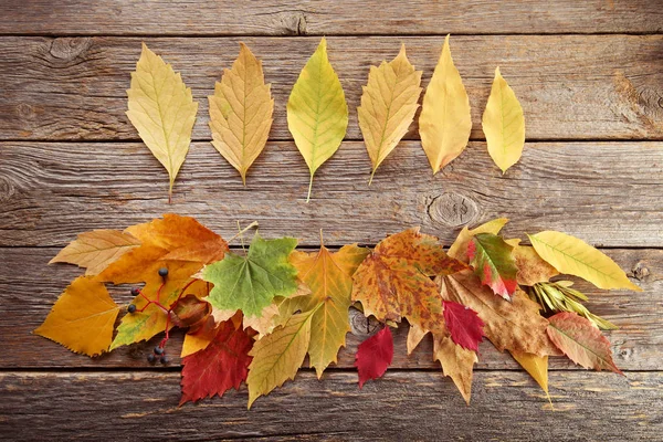 Hojas Otoño Sobre Mesa Madera Gris — Foto de Stock