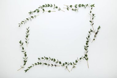 Beyaz zemin üzerine yeşil yaprakları ile kaynaklanıyor