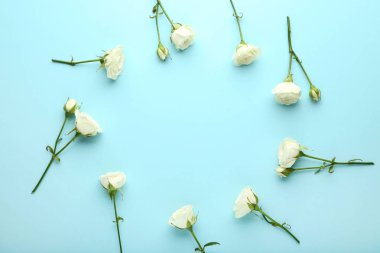 Mavi arka plan üzerinde daire şeklinde beyaz gül çiçek