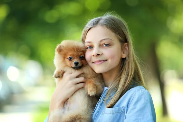 Junges Lächelndes Mädchen Mit Pommernhund Park — Stockfoto