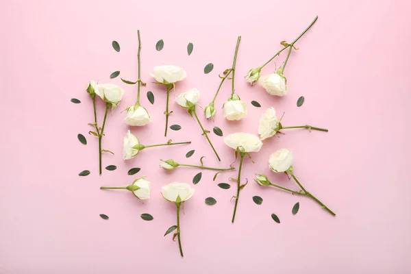 Flores Rosas Blancas Con Hojas Verdes Sobre Fondo Rosa — Foto de Stock