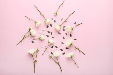 Beyaz çiçek yeşil yaprakları ile pembe gül 