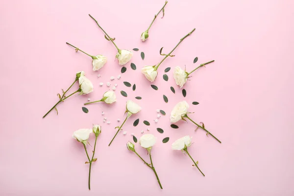 Flores Rosas Blancas Con Hojas Verdes Sobre Fondo Rosa — Foto de Stock