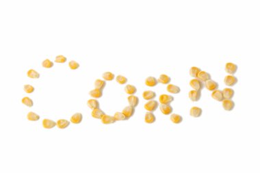 Beyaz arka plan üzerinde Mısır tarafından yazıt