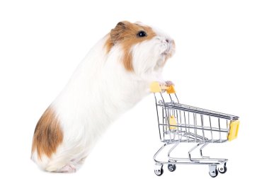 Alışveriş sepeti beyaz arka plan üzerinde izole ile eskiden şiling şimdi domuz