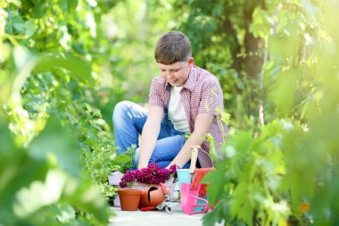 Çiçek ve Bahçe araçları ile genç çocuk