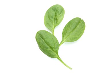 Beyaz arkaplanda ıspanak yaprakları izole