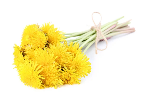 Yellow Dandelions Isolated White Background — Stock Photo, Image