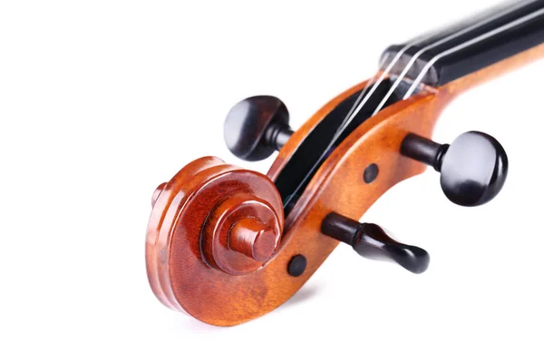 Testa Violino Sfondo Bianco — Foto Stock