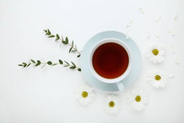 Kasımpatı çiçekleri beyaz arka plan üzerinde çay ile