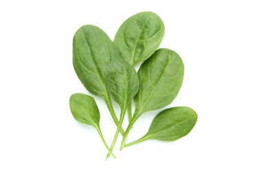 Beyaz arkaplanda ıspanak yaprakları izole