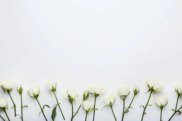 Rose Flowers White Background — Stock Photo, Image