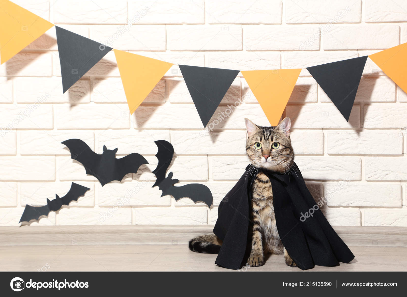 Chat Gris Manteau Noir Avec Des Chauves Souris Papier Sur Image Libre De Droit Par 5seconds C Chat Gris Manteau Noir Avec Des Chauves Souris Papier Sur Image Libre De Droit Par 5seconds C