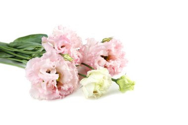 Beyaz arka plan üzerinde izole eustoma buket