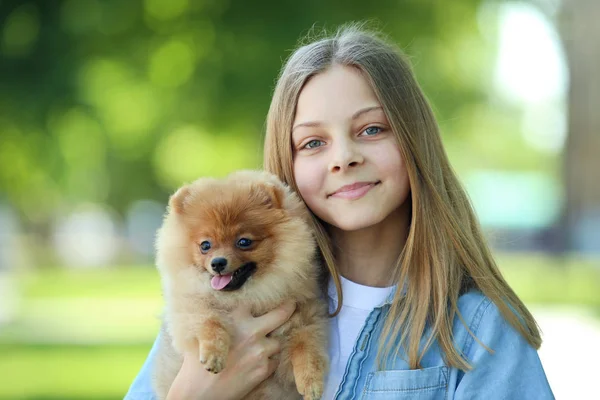 Junges Mädchen Mit Pommernhund Park — Stockfoto