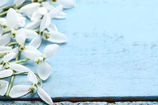 Fleurs Chute Neige Sur Table Bois Bleu — Photo