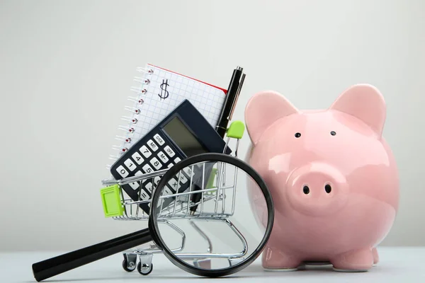虫眼鏡と灰色の背景上のショッピングカートと貯金箱ピンク — ストック写真