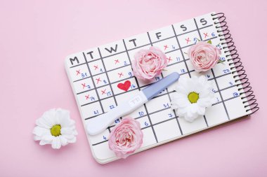 Hamilelik testi kağıt takvim ve çiçeklerle pembe bir arka plan üzerinde