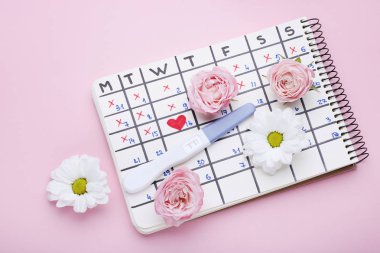 Pregnancy test with paper calendar and flowers on pink background clipart