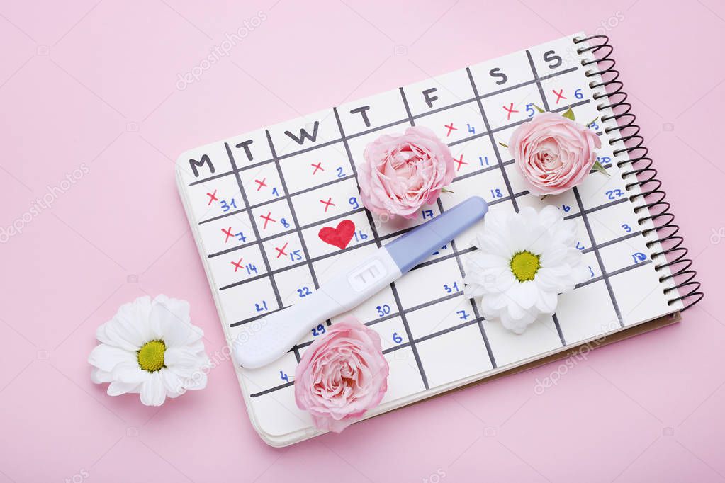 Pregnancy test with paper calendar and flowers on pink background