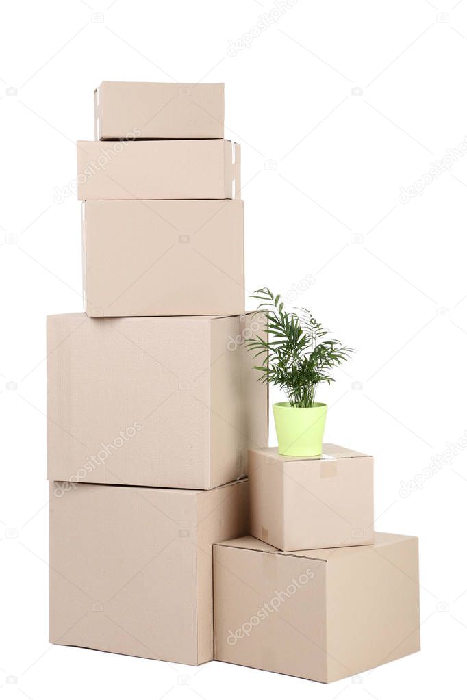 stacked cardboard boxes and pot with green plant on white background