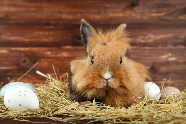 Коричневый Кролик Сеном Пасхальными Яйцами Деревянном Фоне — стоковое фото