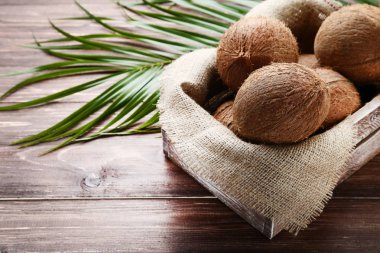 Palm ile sandık içinde olgunlaşmış hindistancevizi yapraklar üzerinde ahşap masa