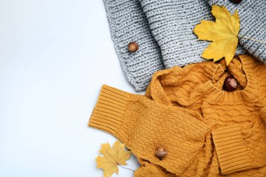 Örme kazak, eşarp ile kestane, meşe palamudu ve sonbahar yaprakları gri arka plan üzerinde