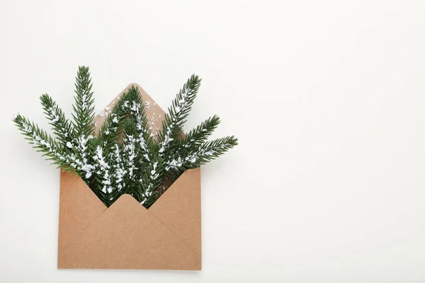 Envelope Fir Tree Branches White Background — Stock Photo, Image