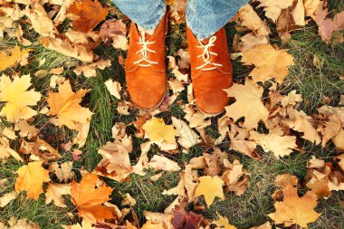 Kadın ayakkabı kuru Sonbaharda yapraklar