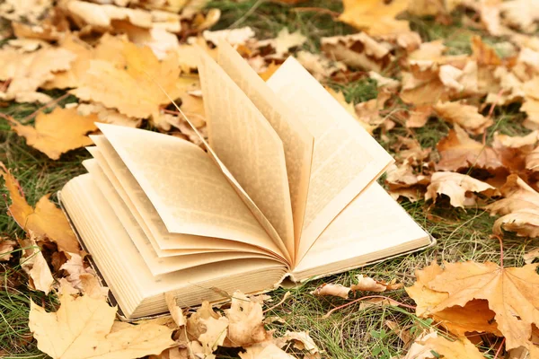 Öppnade Boken Med Torra Hösten Leafs — Stockfoto