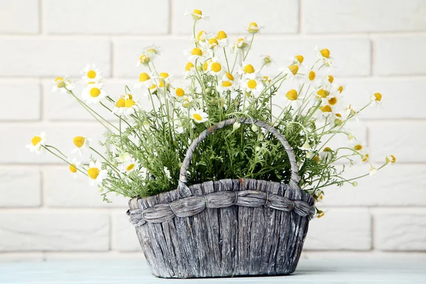 Bouquet Chamomile Flowers Basket Brick Wall Background — Stock Photo, Image