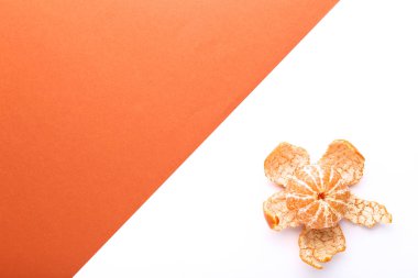 Renkli arka plan üzerinde olgunlaşmış mandarin