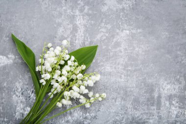 Eski püskü gri arka plan üzerinde Lily vadi çiçekler