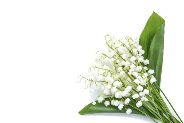 Lelie Van Vallei Bloemen Geïsoleerd Witte Achtergrond — Stockfoto