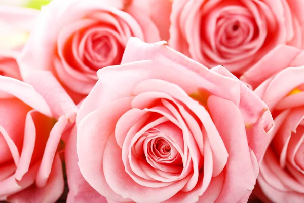 Bouquet Pink Roses Background — Stock Photo, Image