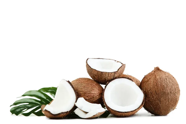 Cocos Maduros Con Hojas Monstera Aisladas Sobre Fondo Blanco — Foto de Stock