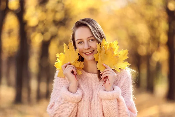 Młoda Piękna Dziewczyna Klon Liści Parku Jesień — Zdjęcie stockowe