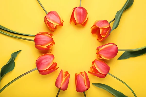 Strauß Von Tulpen Auf Gelbem Hintergrund — Stockfoto