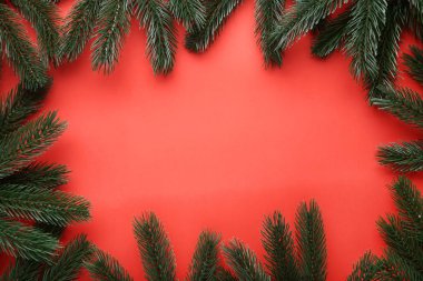 Kırmızı zemin üzerine Noel köknar ağacı dalları