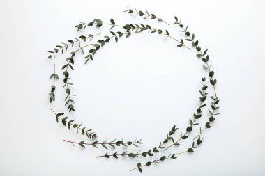 Beyaz zemin üzerine yeşil yaprakları ile kaynaklanıyor