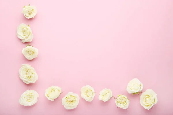 White Rose Flowers Pink Background — Stock Photo, Image