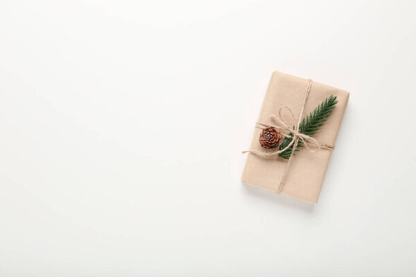 Christmas gift box with cone and fir tree branch on white background