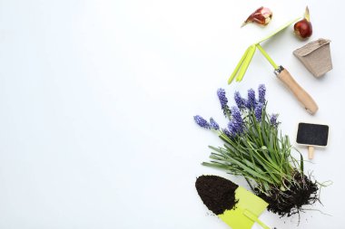 Beyaz arkaplanda çiçekli bahçe araçları