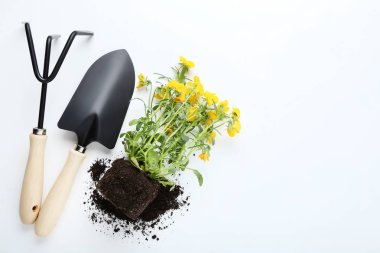 Beyaz arkaplanda bahçe araçları ve sarı çiçekler